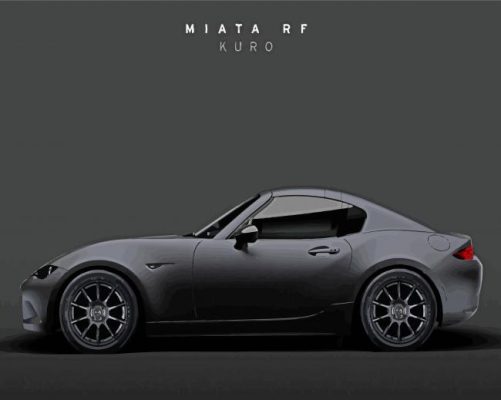 Black Matt Miata Car paint by number