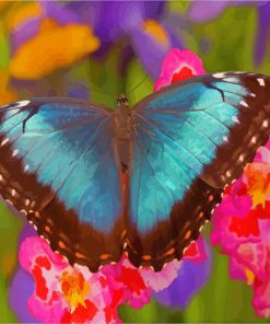 Blue Butterfly And Pink Orchid paint by number