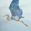 Blue Heron Flying Paint by number