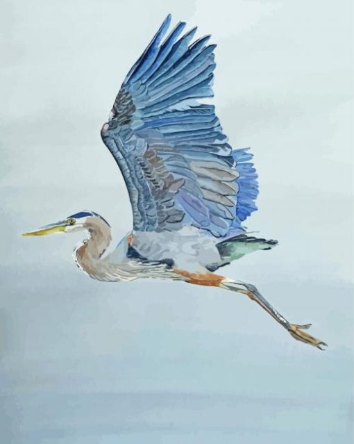 Blue Heron Flying Paint by number