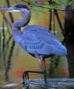 Blue Crane paint by number