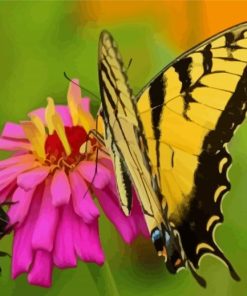 Butterfly And Bee On Flower Paint by number