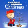 Christmas Charlie Brown Movie Paint by number