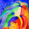 Cute Colorful Shih Tzu Dog paint by number