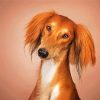 Cute Saluki paint by number