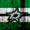 Dallas Stars Logo Paint by number