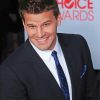 David Boreanaz Smiling paint by number