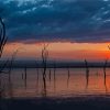 Dead Trees Lake Nakuru Kenya paint by number