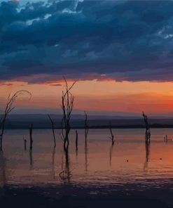 Dead Trees Lake Nakuru Kenya paint by number