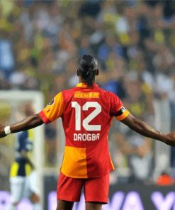 Didier Drogba Player Back paint by number