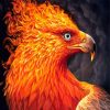 Fire Bird Head paint by number