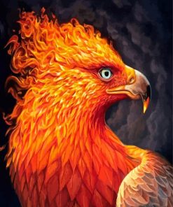 Fire Bird Head paint by number