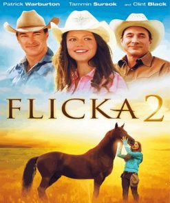 Flicka Poster paint by number