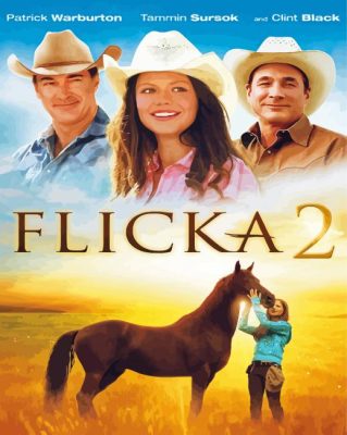 Flicka Poster paint by number