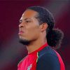 Footballer Virgil Van Dijk paint by number