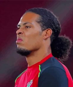 Footballer Virgil Van Dijk paint by number