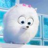 Gidget The Secret Life Of Pets Character paint by number