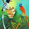 Indian Paradise Flycatcher Bird Paint by number