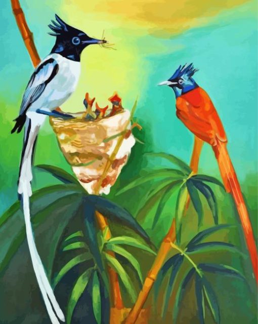 Indian Paradise Flycatcher Bird Paint by number