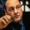 James Gandolfini Art Paint by number