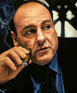 James Gandolfini Art Paint by number