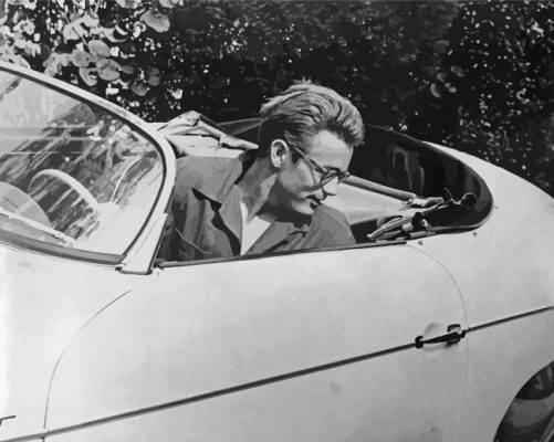 James Dean In A Car paint by number