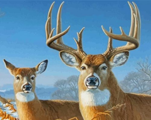 Large Buck And Doe Animals Paint by number