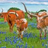 Longhornes In Texas Bluebonnets paint by number