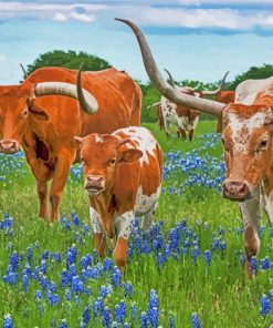 Longhornes In Texas Bluebonnets paint by number