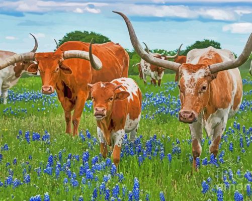 Longhornes In Texas Bluebonnets paint by number