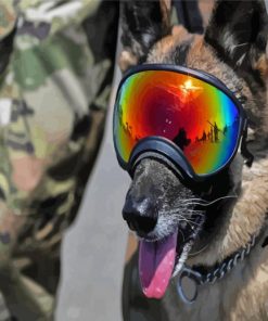 Military Dog paint by number