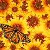 Monarch Butterfly On Sunflowers paint by number