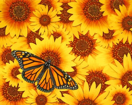 Monarch Butterfly On Sunflowers paint by number