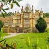 National Trust Clevedon Court Paint by number