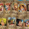 One Piece Wanted Posters paint by number