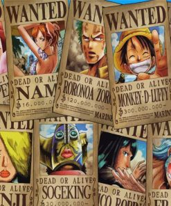 One Piece Wanted Posters paint by number