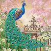 Peacock On A Fence Art paint by number