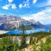 Peyto Lake National Park paint by number