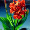 Red Canna Tretchikoff paint by number