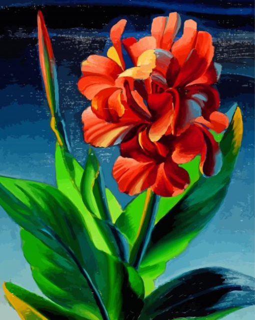 Red Canna Tretchikoff paint by number