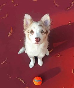 Red And White Border Collie Puppy Dog paint by number