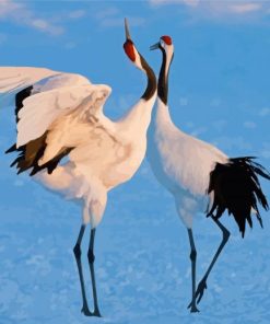 Red Crowned Cranes paint by number