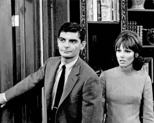 Richard Benjamin And Paula Prentiss paint by number