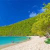 Saint Thomas Beach In Virgin Islands paint by number