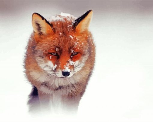 Sandfox In Snow paint by number