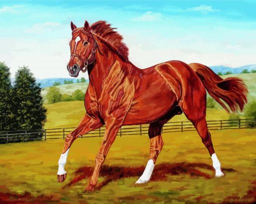 Secretariat Horse paint by number