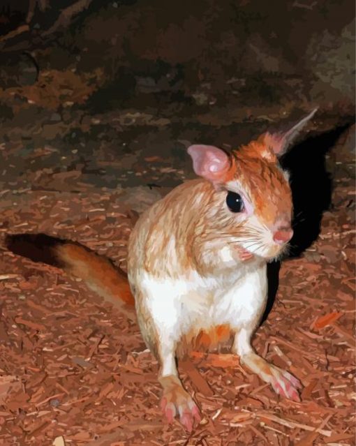 South African Springhare Rodent paint by number