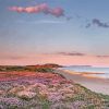 Southbourne Beach Flowers Paint by number