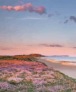 Southbourne Beach Flowers Paint by number