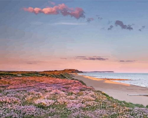 Southbourne Beach Flowers Paint by number